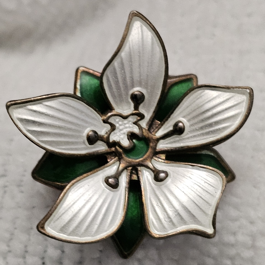 David Andersen Norway Vintage Pin David Andersen Brooch Sterling Silver & Enamel